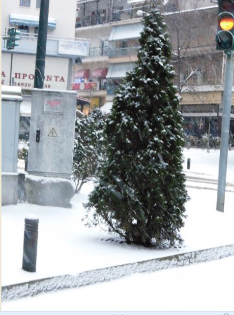 Tα Γρεβενά στα Λευκά [pics]