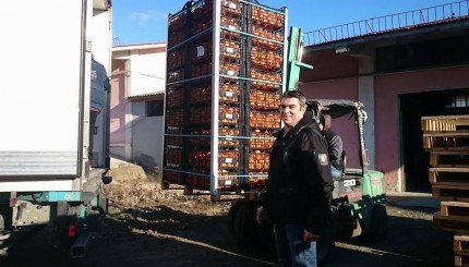 πορτοκαλια 2