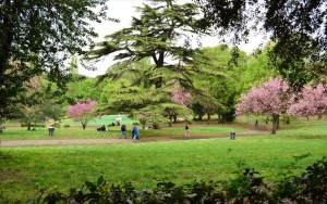 villa-borghese-romi