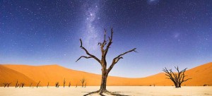 national_geographic_3.8_708