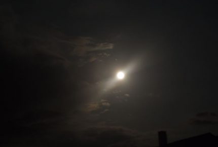 pan 2