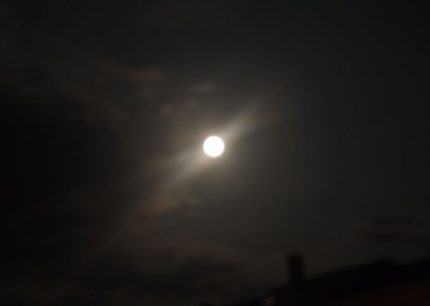 pan 4