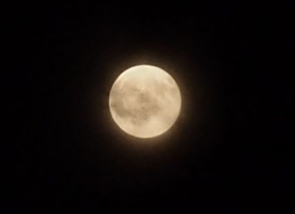pan 5