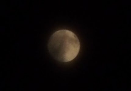 pan 6