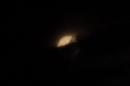 pan 7