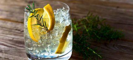 gin-toni-708c