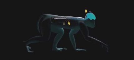 paralyzed_monkey708